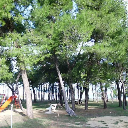 Apartamento Dujlovic *