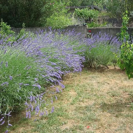 Dujlovic Privlaka (Zadar)