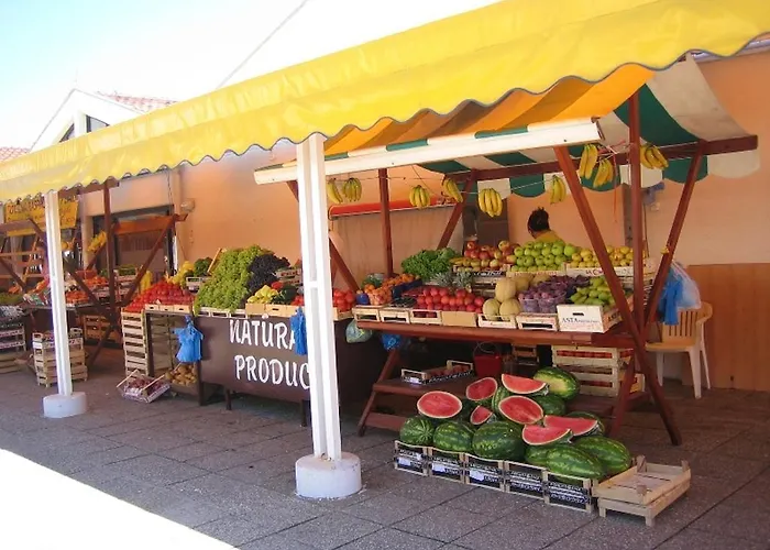 公寓 Dujlovic 普利拉卡